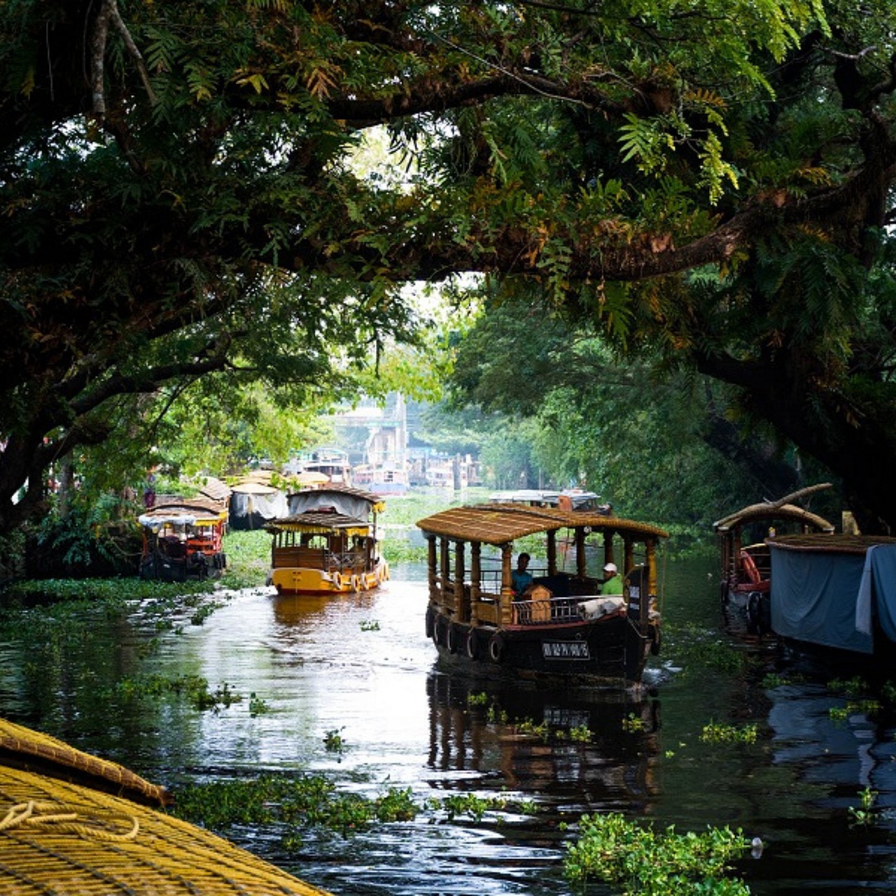 kerala backwater tour package in tourtime